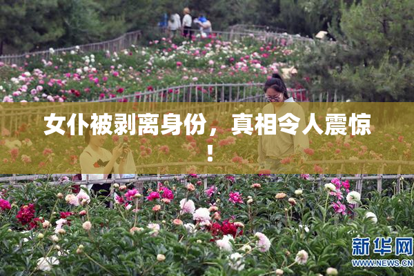 女仆被剥离身份，真相令人震惊！