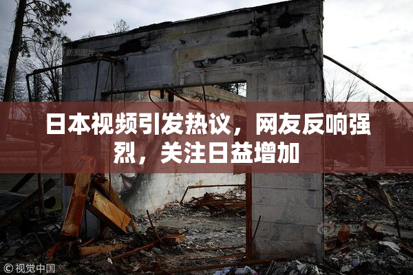 日本视频引发热议，网友反响强烈，关注日益增加