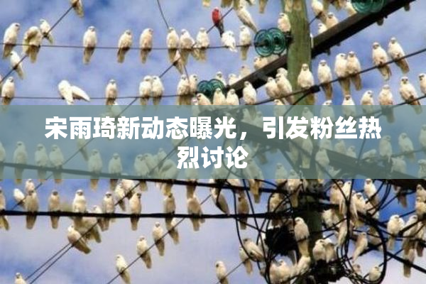 宋雨琦新动态曝光，引发粉丝热烈讨论