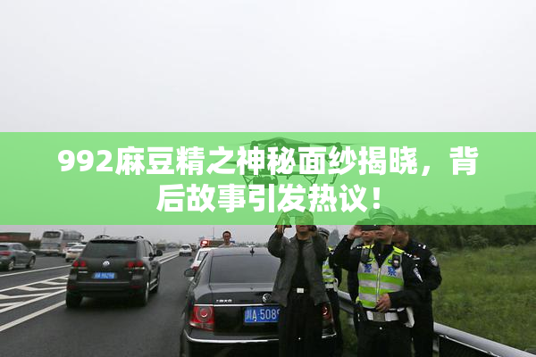 992麻豆精之神秘面纱揭晓，背后故事引发热议！
