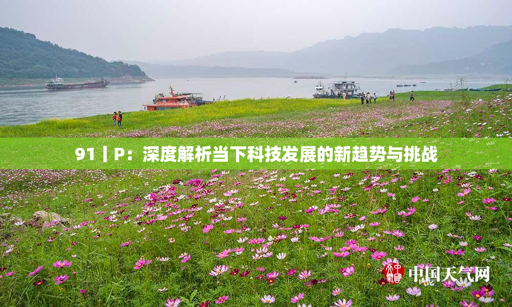 91丨P：深度解析当下科技发展的新趋势与挑战