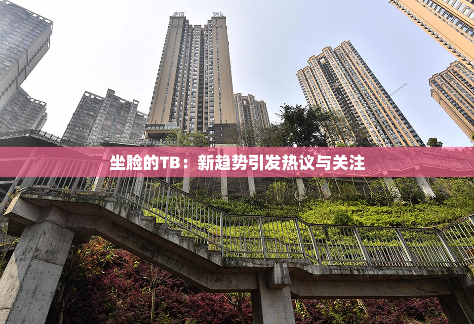 坐脸的TB：新趋势引发热议与关注