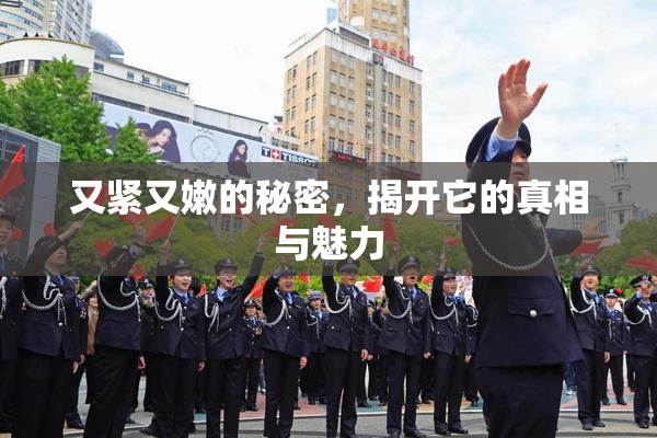 又紧又嫩的秘密，揭开它的真相与魅力