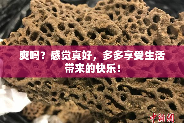 爽吗？感觉真好，多多享受生活带来的快乐！