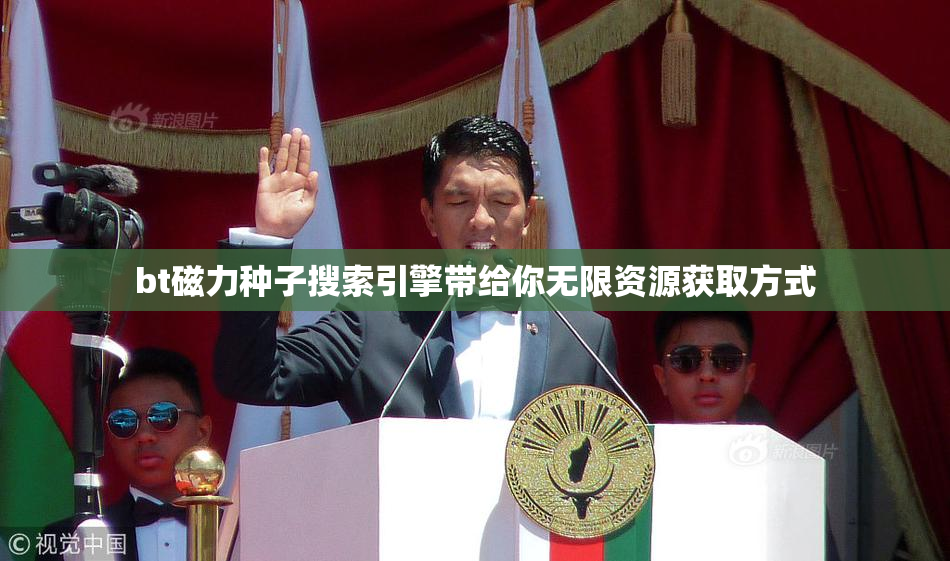 bt磁力种子搜索引擎带给你无限资源获取方式