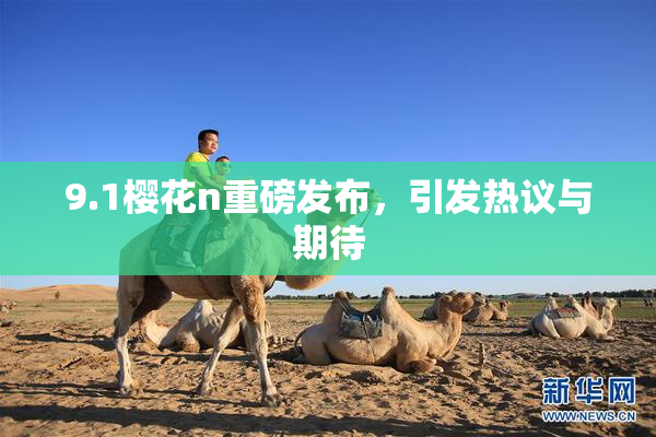 9.1樱花n重磅发布，引发热议与期待