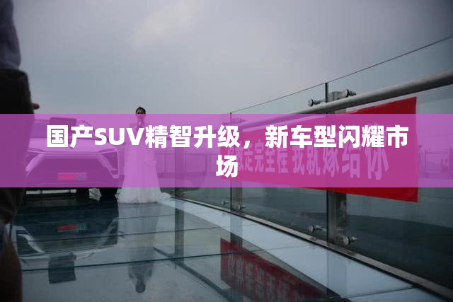 国产SUV精智升级，新车型闪耀市场