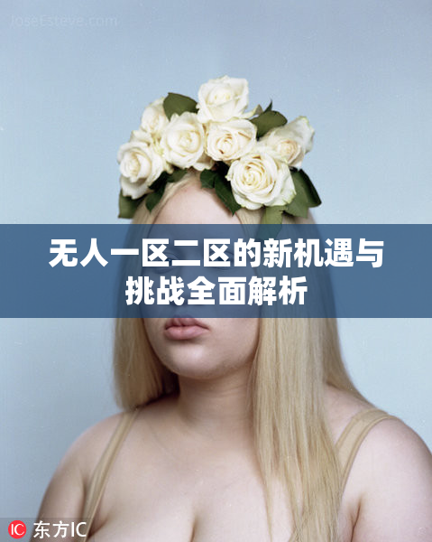 无人一区二区的新机遇与挑战全面解析