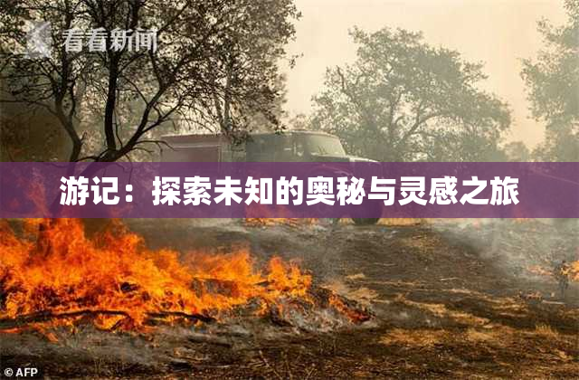 游记：探索未知的奥秘与灵感之旅