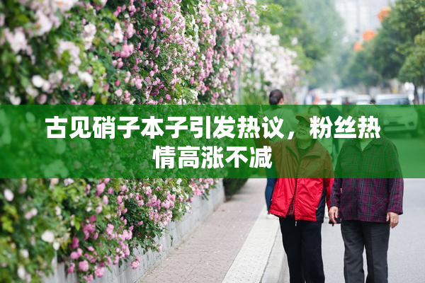 古见硝子本子引发热议，粉丝热情高涨不减