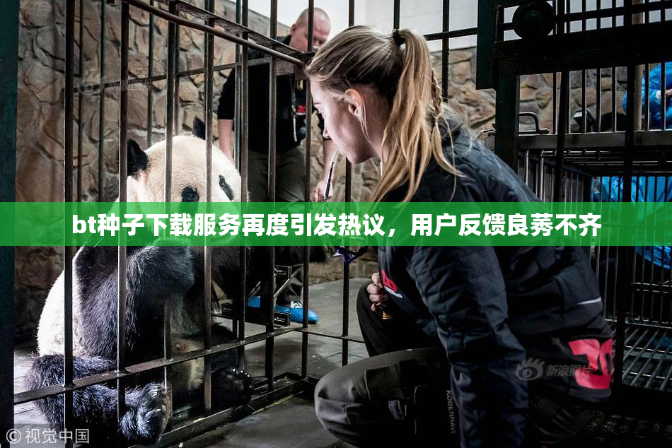 bt种子下载服务再度引发热议，用户反馈良莠不齐