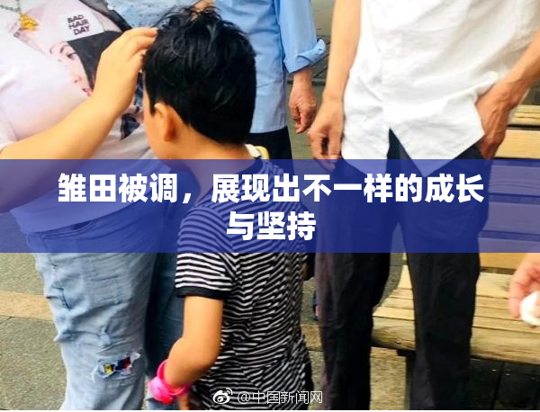 雏田被调，展现出不一样的成长与坚持