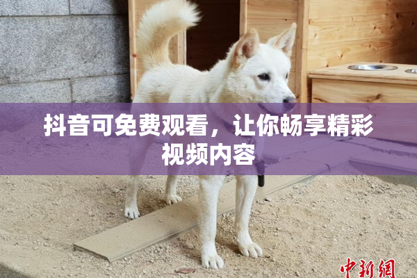 抖音可免费观看，让你畅享精彩视频内容
