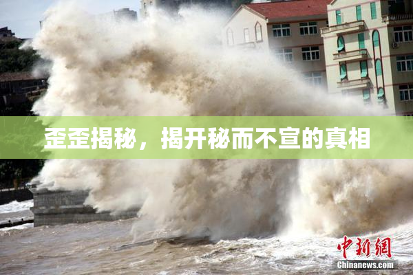 歪歪揭秘，揭开秘而不宣的真相