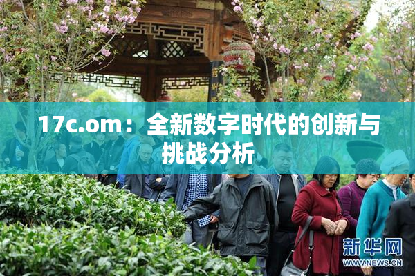 17c.om：全新数字时代的创新与挑战分析