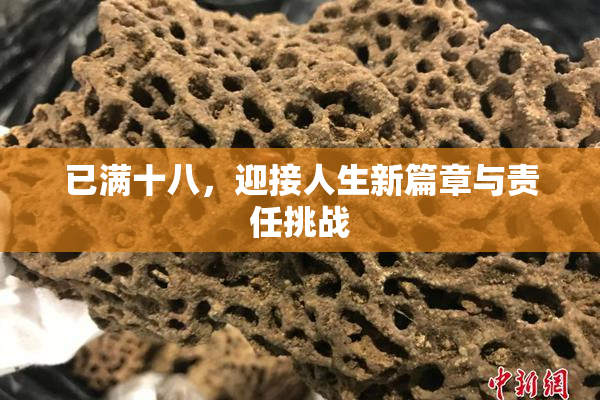 已满十八，迎接人生新篇章与责任挑战