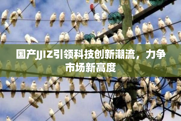 国产JJIZ引领科技创新潮流，力争市场新高度