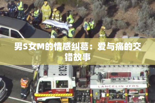 男S女M的情感纠葛：爱与痛的交错故事