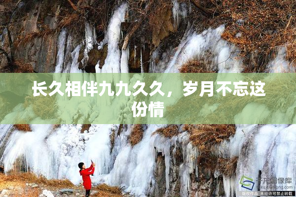 长久相伴九九久久，岁月不忘这份情