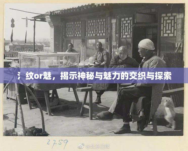 氵纹or魅，揭示神秘与魅力的交织与探索