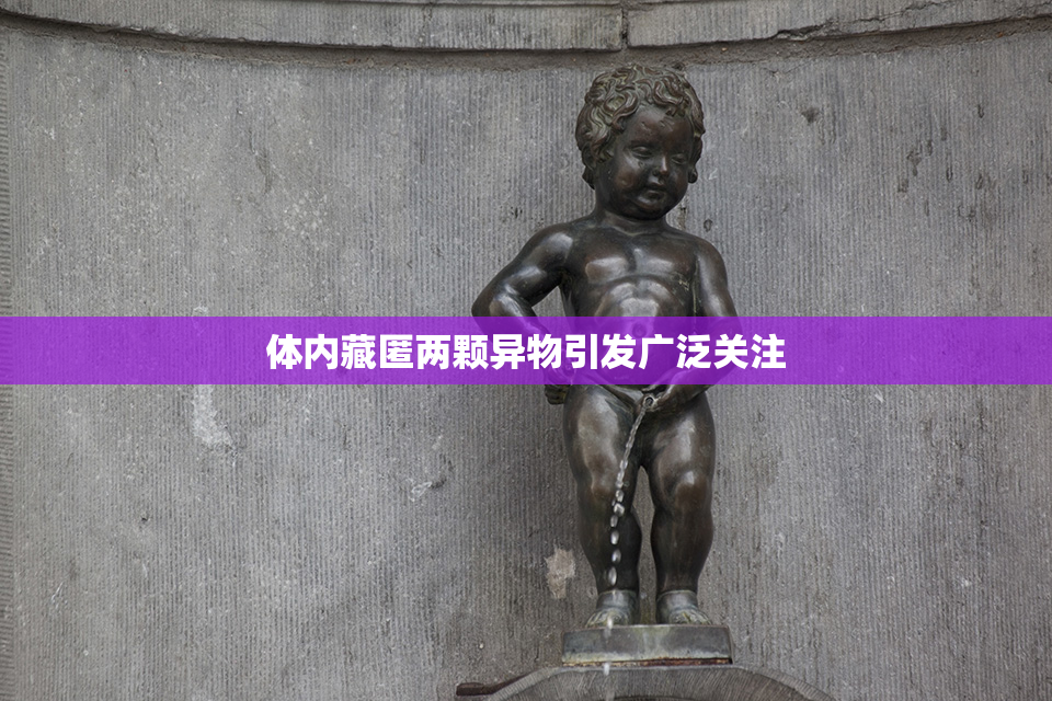 体内藏匿两颗异物引发广泛关注