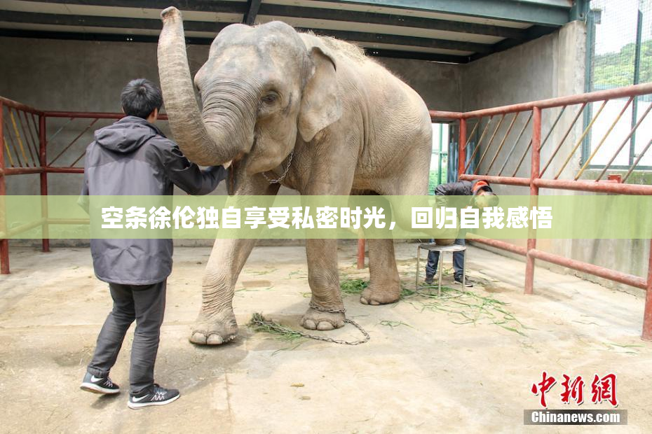 空条徐伦独自享受私密时光，回归自我感悟