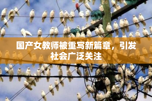 国产女教师被重写新篇章，引发社会广泛关注