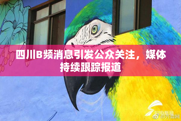 四川B频消息引发公众关注，媒体持续跟踪报道