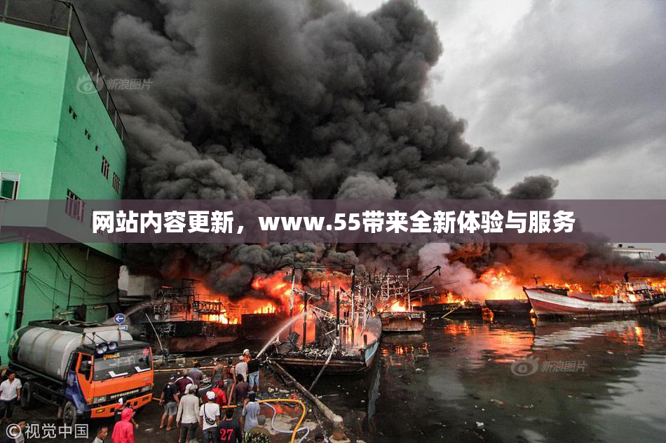网站内容更新，www.55带来全新体验与服务