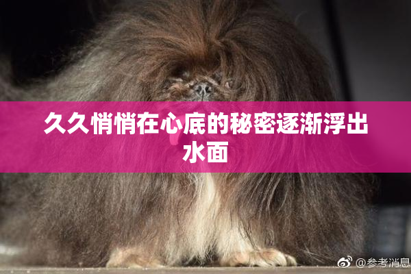 久久悄悄在心底的秘密逐渐浮出水面