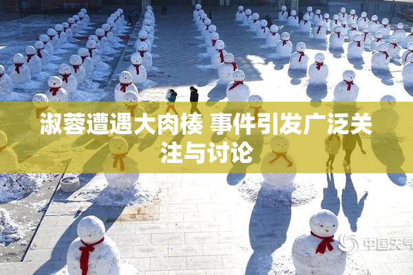 淑蓉遭遇大肉楱 事件引发广泛关注与讨论