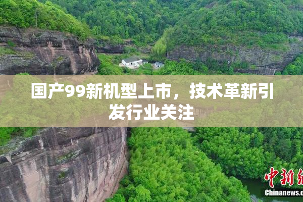国产99新机型上市，技术革新引发行业关注