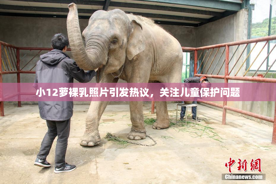 小12萝裸乳照片引发热议，关注儿童保护问题