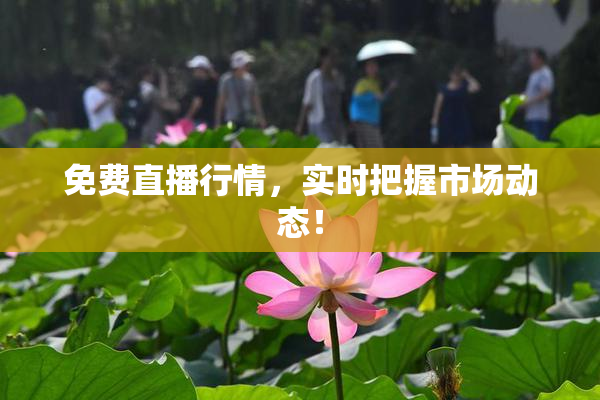 免费直播行情，实时把握市场动态！
