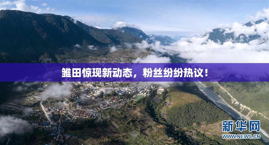 雏田惊现新动态，粉丝纷纷热议！
