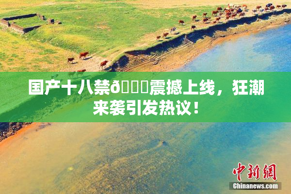 国产十八禁🔞震撼上线，狂潮来袭引发热议！