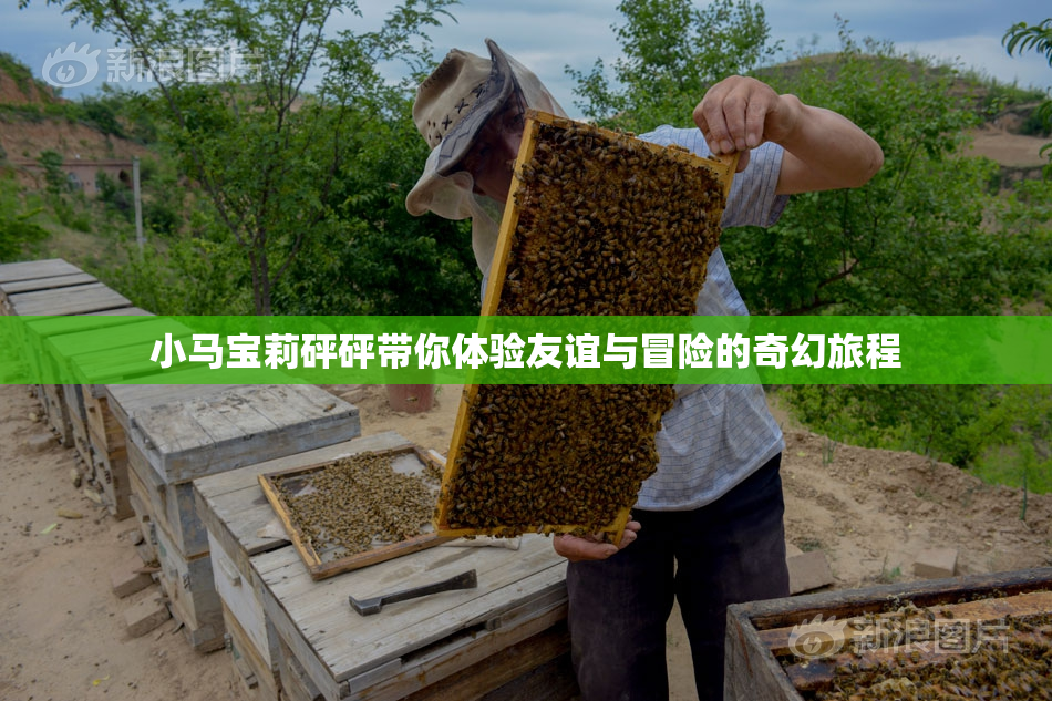 小马宝莉砰砰带你体验友谊与冒险的奇幻旅程
