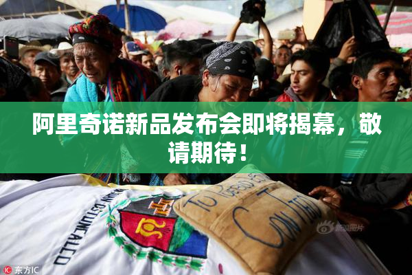 阿里奇诺新品发布会即将揭幕，敬请期待！