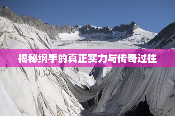 揭秘纲手的真正实力与传奇过往