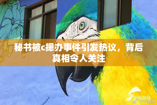 秘书被c摁办事件引发热议，背后真相令人关注