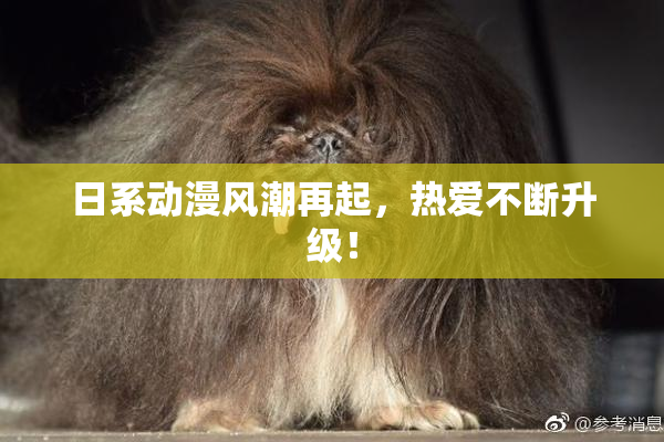 日系动漫风潮再起，热爱不断升级！