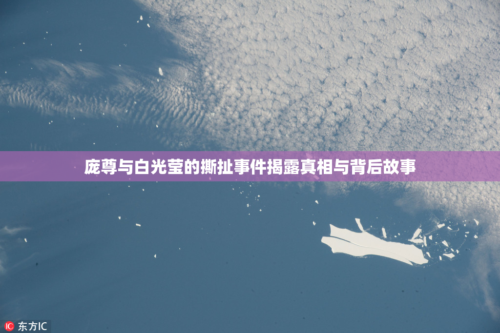 庞尊与白光莹的撕扯事件揭露真相与背后故事