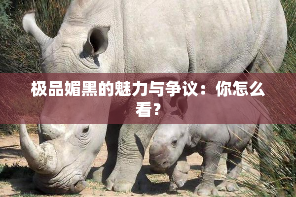 极品媚黑的魅力与争议：你怎么看？