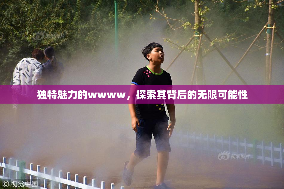 独特魅力的wwww，探索其背后的无限可能性