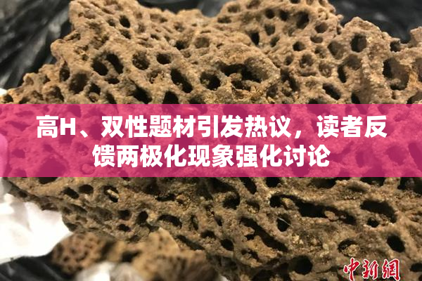 高H、双性题材引发热议，读者反馈两极化现象强化讨论