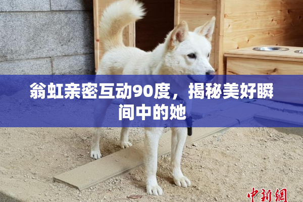 翁虹亲密互动90度，揭秘美好瞬间中的她