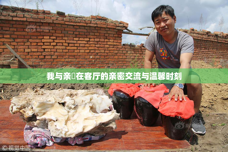我与亲妺在客厅的亲密交流与温馨时刻