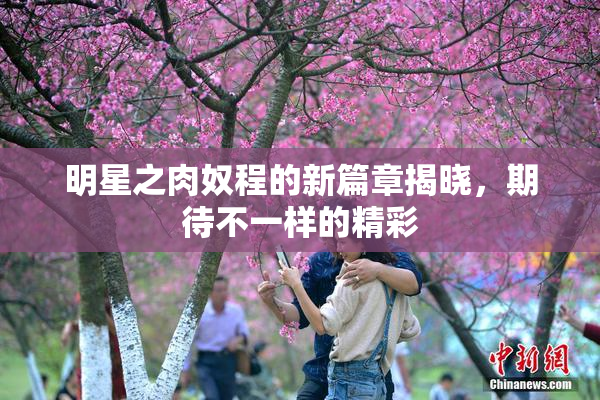 明星之肉奴程的新篇章揭晓，期待不一样的精彩