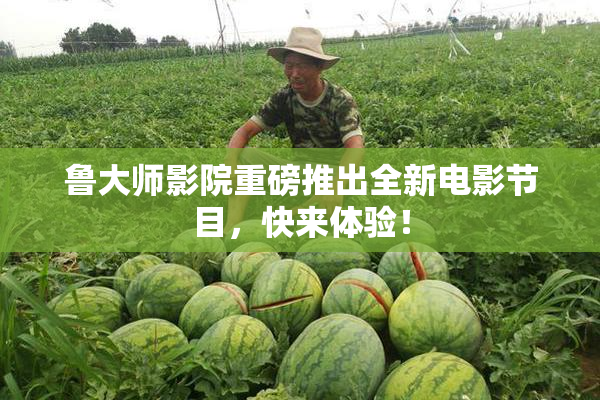 鲁大师影院重磅推出全新电影节目，快来体验！