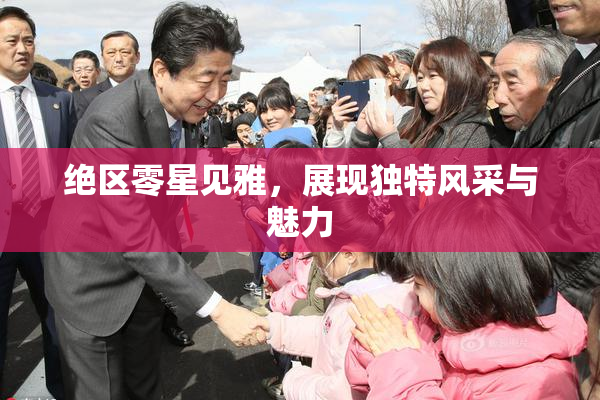 绝区零星见雅，展现独特风采与魅力